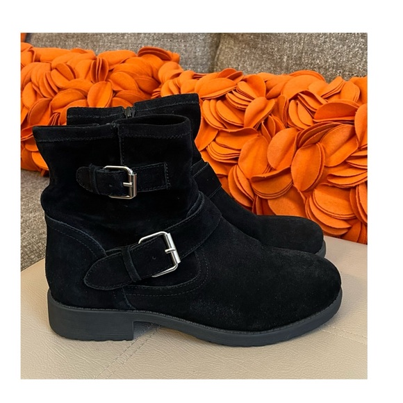 Steve Madden Shoes Steve Madden Alick Black Suede Moto Buckle